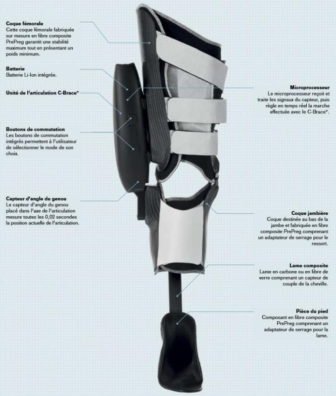 Attelle de genou articulée avec contrôle de la fexion extension